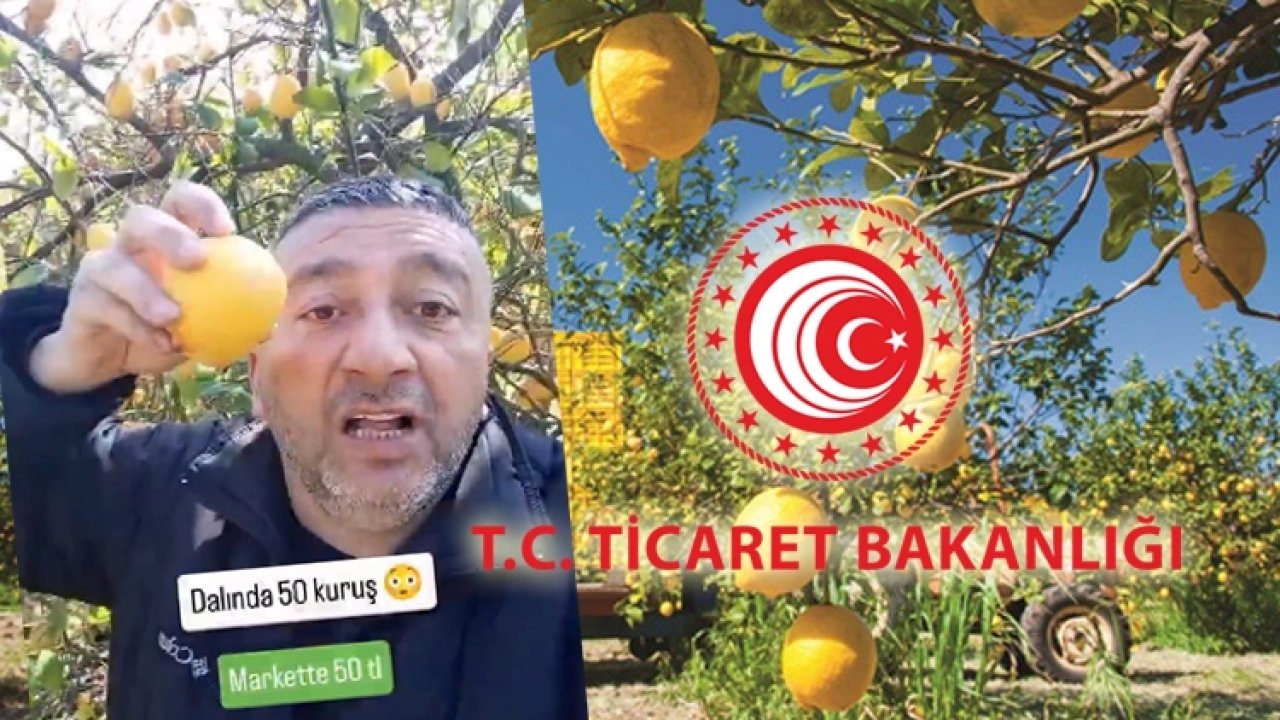 Sözde çiftçinin yalanını Bakanlık söndürdü!